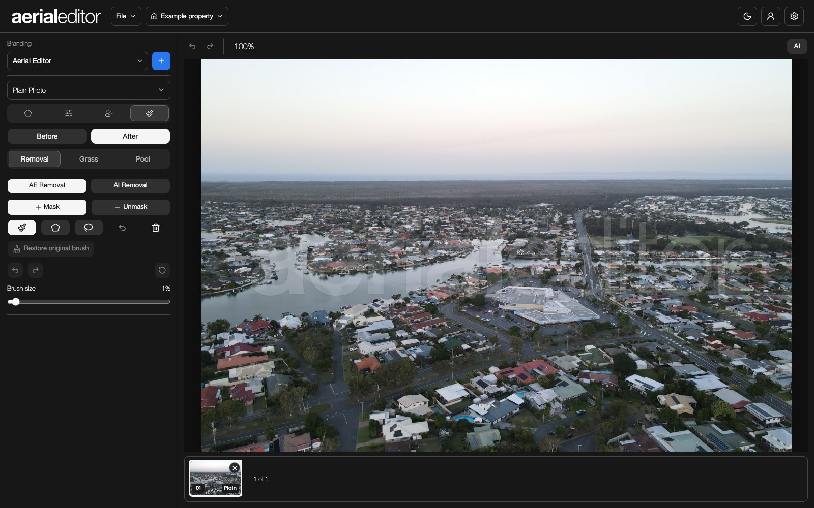 Removal with the shared selection tools and restore controls.